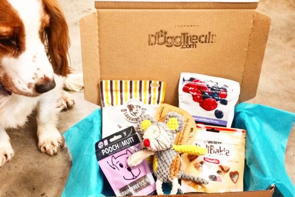 Dog Treat Subscription Box - April 2017